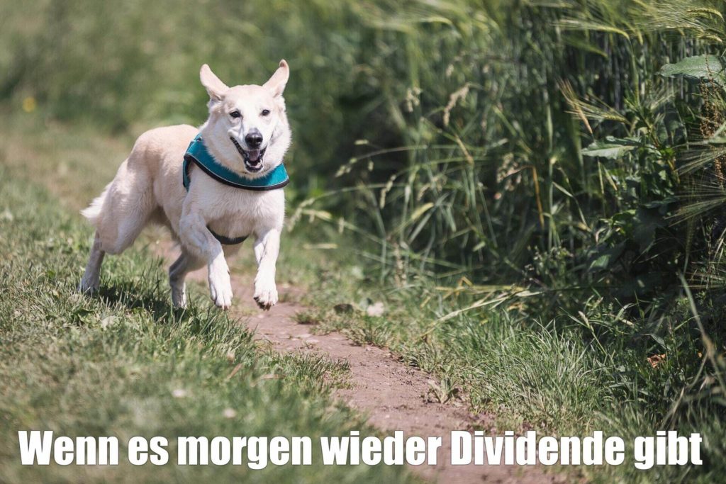 Nr. 13 - Finanz Memes