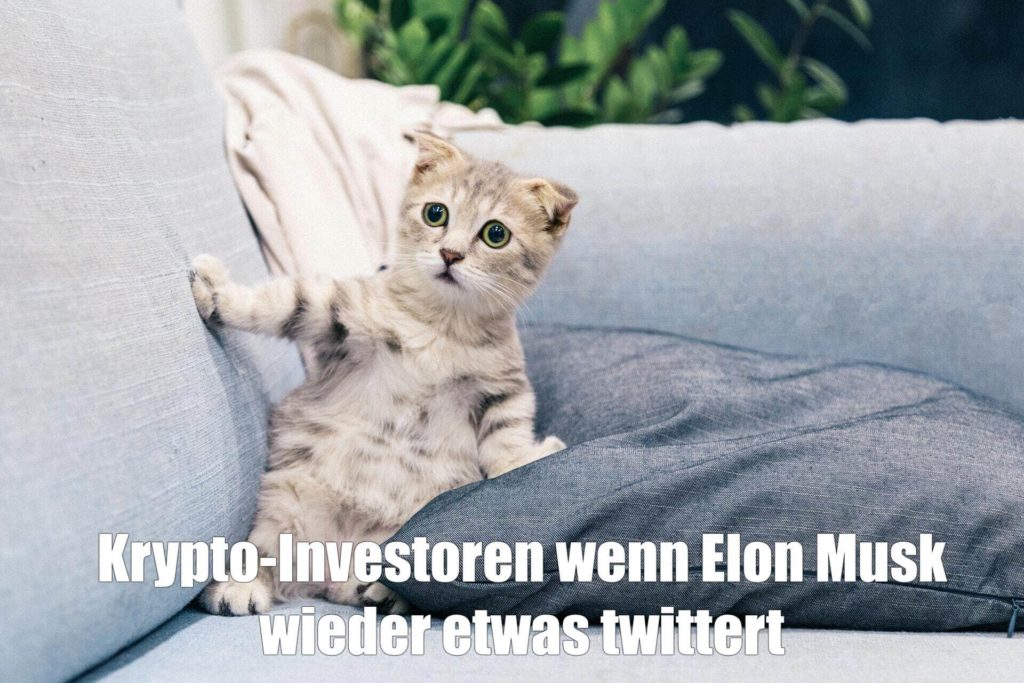 Nr. 15 - Finanz Memes