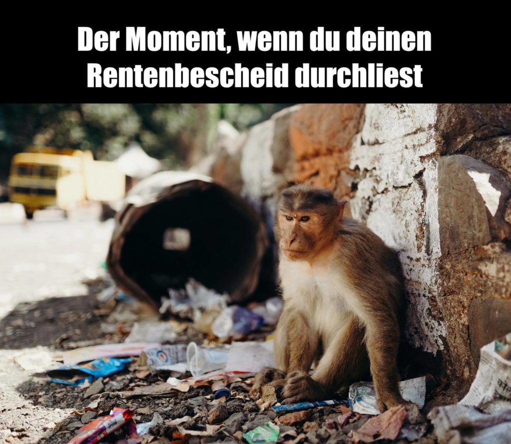 Nr. 8 - Finanz Memes