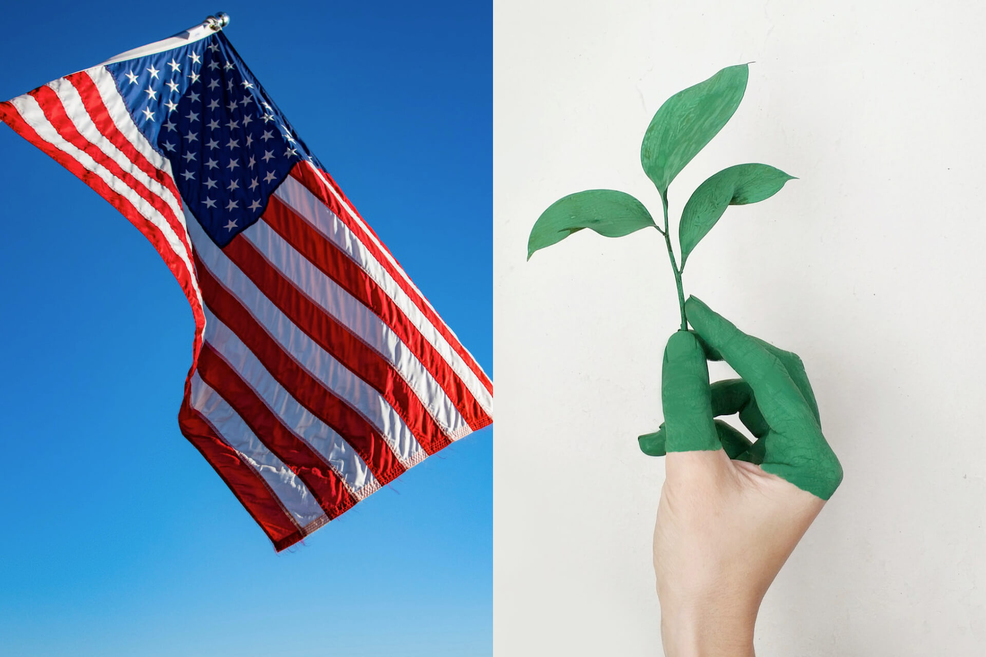 11 nachhaltige Aktien aus den USA