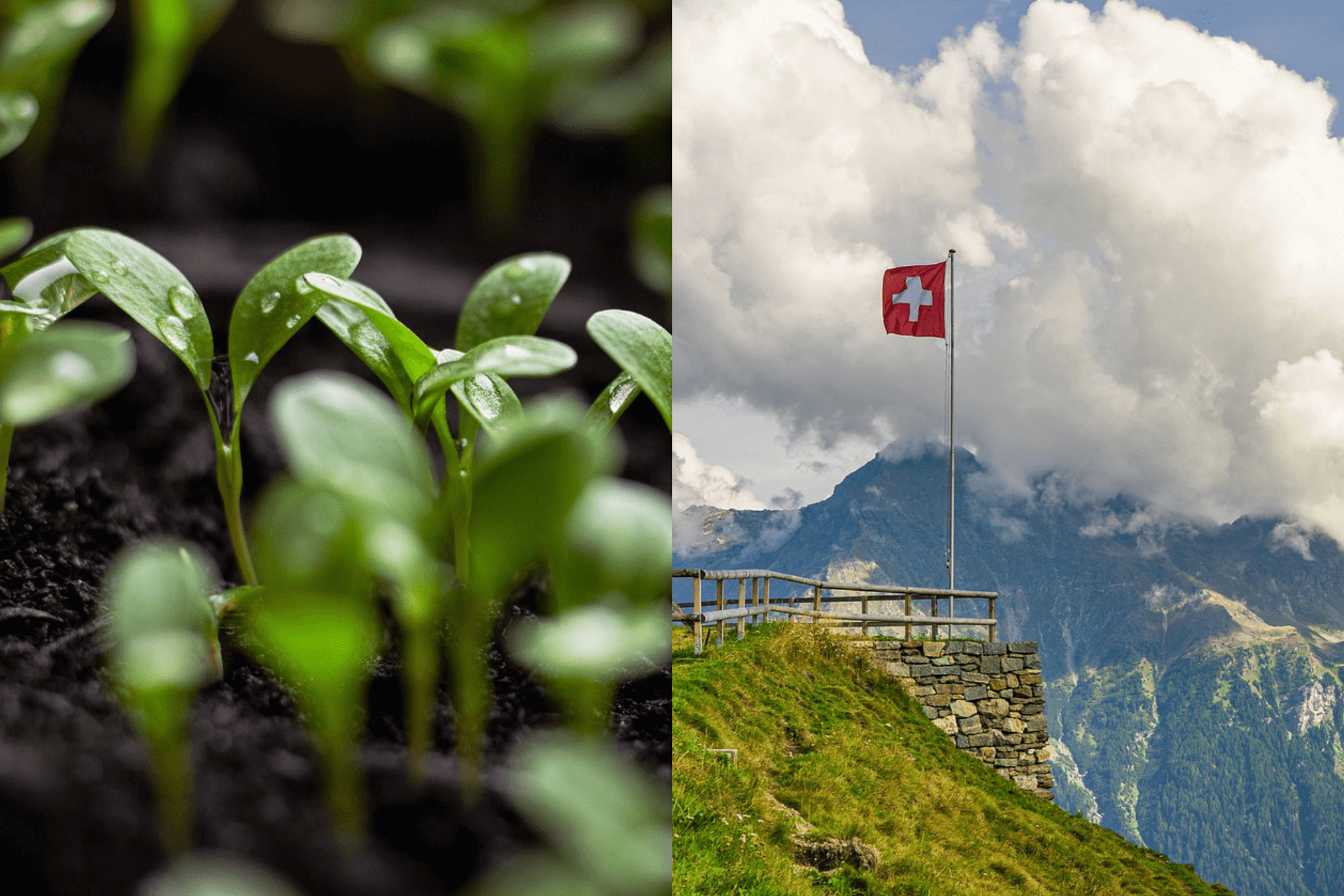 17 nachhaltige Aktien Schweiz
